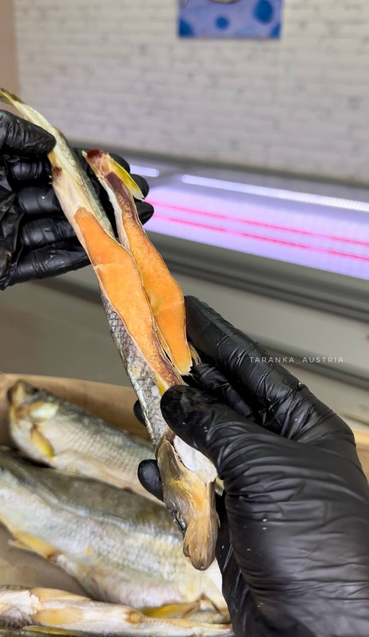 Getrockneter Zahnfisch (Auswahl, mit Rogen) – Bild 3